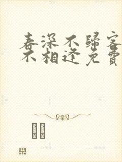 春深不归客清梦不相逢免费全文