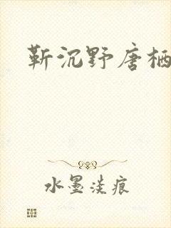 靳沉野唐栖雾