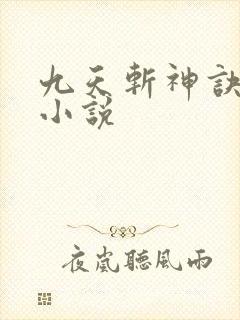 九天斩神诀林辰小说