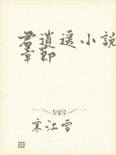 君逍遥小说最新章节