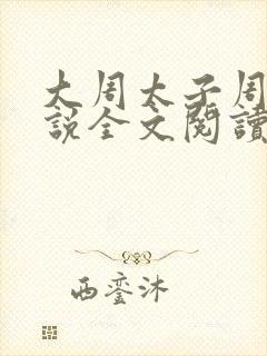 大周太子周铮小说全文阅读无弹窗