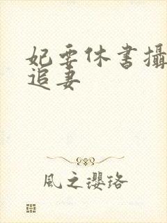 妃要休书摄政王追妻封面