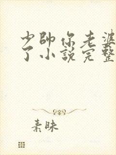 少帅你老婆又跑了小说完整