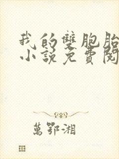 我的双胞胎老婆小说免费阅读