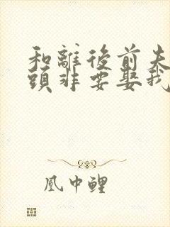 和离后前夫死对头非要娶我大结局封面