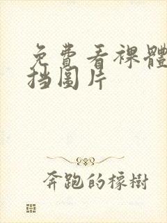 免费看裸体无遮挡图片