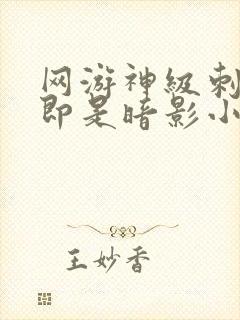 网游神级刺客我即是暗影小说封面