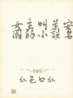 女主叫叶安叶卫国的小说名字封面