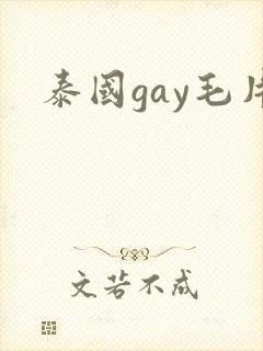 泰国gay毛片
