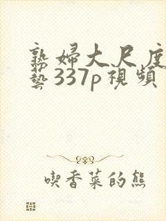 熟妇大尺度人体艺337p视频封面