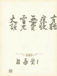 大雪无痕有声小说免费收听