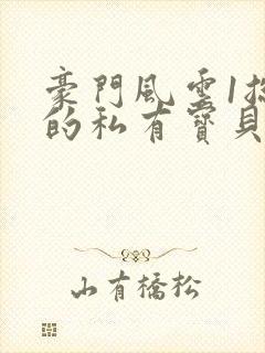 豪门风云1总裁的私有宝贝