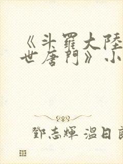 《斗罗大陆2绝世唐门》小说