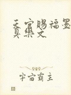 天官赐福墨香铜臭乐文封面