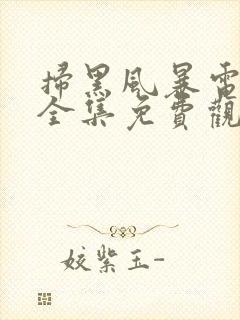 扫黑风暴电视剧全集免费观看完整版