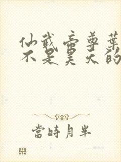 仙武帝尊叶辰是不是昊天的儿子