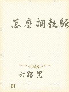 怎么调教骚母狗