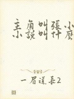 主角叫张小凡的小说叫什么名字封面