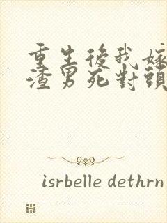 重生后我嫁给了渣男死对头完整版