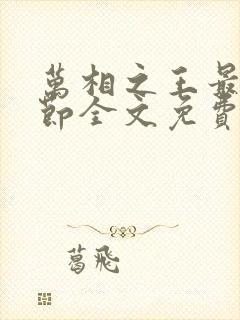 万相之王最新章节全文免费阅读txt