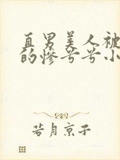 直男美人被欺负的惨兮兮小说封面