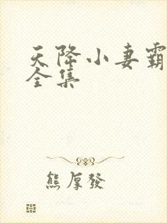 天降小妻霸道宠全集