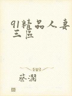 91精品人妻二三区