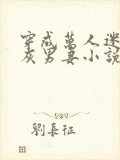 穿成万人迷的炮灰男妻小说封面