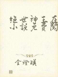 绝世神王在都市小说免费阅读全文封面