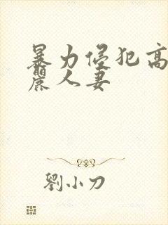 暴力侵犯高贵美丽人妻