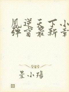 凤逆天下小说无弹窗最新章节