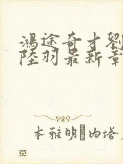 鸿途奇才刘云峰陆羽最新章节封面