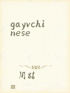 gayvchinese
