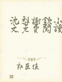 沈梨谢钦小说全文免费阅读封面