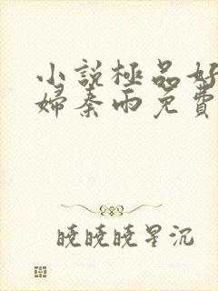 小说极品好儿媳妇秦雨免费阅读全文封面