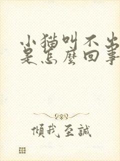 小猫叫不出声音是怎么回事