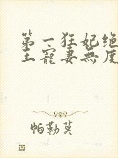 第一狂妃绝色邪王宠妻无度免费阅读