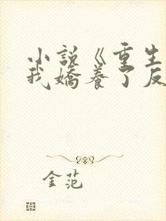 小说《重生后,我娇养了反派摄政王》