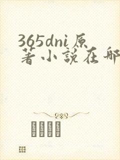 365dni原著小说在哪里看