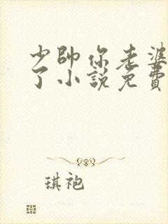 少帅你老婆又跑了小说免费完整版