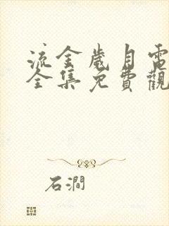 流金岁月电视剧全集免费观看下载