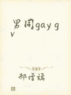 男同gay gv