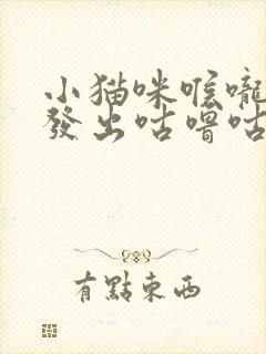 小猫咪喉咙一直发出咕噜咕噜的声音