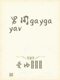 男同gaygayav