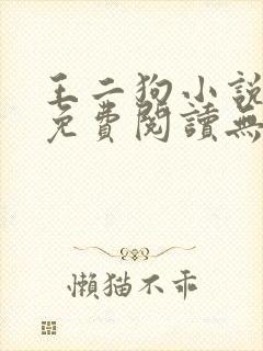 王二狗小说全文免费阅读无弹窗