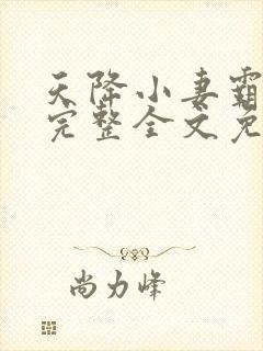 天降小妻霸道宠完整全文免费阅读封面