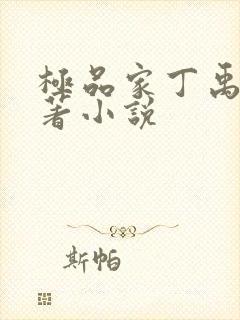 极品家丁禹岩原著小说