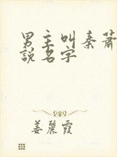 男主叫秦萧的小说名字封面