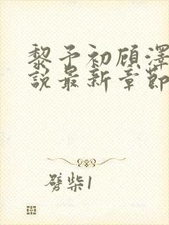 黎予初顾泽琛小说最新章节更新内容