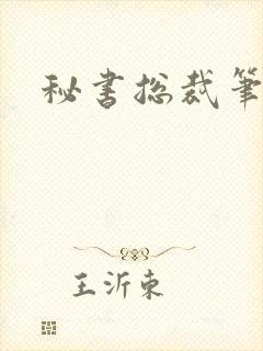秘书总裁笔趣阁